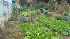 Foto 5 de Fazenda/Sítio com 3 Quartos à venda, 13000m² em Guedes, Jaguariúna