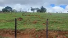 Foto 20 de Fazenda/Sítio com 3 Quartos à venda, 45000m² em Centro, Santa Isabel