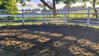 Foto 34 de Fazenda/Sítio com 4 Quartos à venda, 260000m² em Zona Rural, Monte Alegre