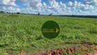 Foto 13 de Fazenda/Sítio à venda, 57930m² em Panorama Parque, Goiânia