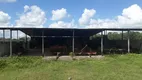 Foto 6 de Fazenda/Sítio com 3 Quartos à venda, 150000m² em Centro, Vera Cruz