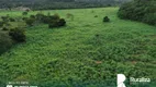 Foto 7 de Fazenda/Sítio à venda, 392m² em Zona Rural, Araguaína
