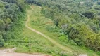 Foto 20 de Lote/Terreno à venda em Parque Sao Jorge, Almirante Tamandaré