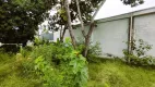 Foto 14 de Lote/Terreno à venda, 780m² em Ponta de Baixo, São José