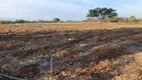 Foto 13 de Fazenda/Sítio com 7 Quartos à venda, 400m² em  Zona Rural, Teresina