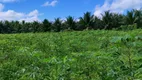 Foto 16 de Fazenda/Sítio com 1 Quarto à venda, 4000m² em Sitio Arena, São José de Mipibu