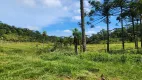 Foto 81 de Fazenda/Sítio com 5 Quartos à venda, 435600m² em Campo Alto, Tijucas do Sul