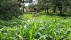 Foto 4 de Lote/Terreno à venda, 5040m² em Area Rural de Uberlandia, Uberlândia