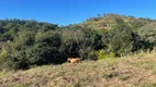 Foto 37 de Fazenda/Sítio com 3 Quartos para venda ou aluguel, 500m² em Joaquim Egídio, Campinas