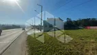 Foto 16 de Lote/Terreno para alugar, 1229m² em Sertao do Maruim, São José