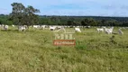 Foto 4 de Fazenda/Sítio à venda, 1000m² em Centro, Torixoréu