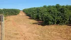 Foto 23 de Fazenda/Sítio com 4 Quartos à venda, 128260m² em Zona Rural, Monte Santo de Minas