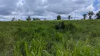 Foto 15 de Fazenda/Sítio com 3 Quartos à venda, 3750000m² em Centro, São Miguel do Guamá