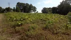 Foto 5 de Fazenda/Sítio com 3 Quartos à venda, 130000m² em , Antônio Olinto