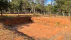 Foto 12 de Fazenda/Sítio com 2 Quartos à venda, 3500m² em Zona Rural, Bela Vista de Goiás