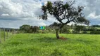 Foto 30 de Fazenda/Sítio com 3 Quartos à venda, 9m² em Zona Rural, Paraopeba