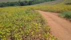 Foto 9 de Fazenda/Sítio à venda, 3650000m² em Vila Pinto, Varginha