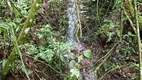 Foto 6 de Fazenda/Sítio à venda, 90000m² em Pedra Branca, Alfredo Wagner