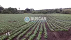 Foto 83 de Fazenda/Sítio com 11 Quartos à venda, 440000m² em Zona Rural, Lençóis