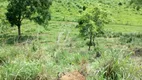 Foto 2 de Fazenda/Sítio à venda em Zona Rural, Flores de Goiás