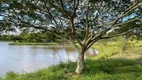 Foto 46 de Fazenda/Sítio com 5 Quartos à venda, 939m² em Barro Vermelho, Gravataí