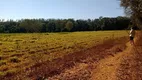 Foto 9 de Fazenda/Sítio à venda, 140000m² em Zona Rural, Bom Despacho