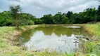 Foto 28 de Fazenda/Sítio com 2 Quartos à venda, 10000m² em , Bonfinópolis