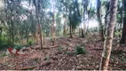Foto 13 de Fazenda/Sítio com 4 Quartos à venda, 11500m² em Area Rural de Sao Jose dos Pinhais, São José dos Pinhais