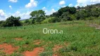 Foto 13 de Fazenda/Sítio com 5 Quartos à venda, 27000m² em Zona Rural, Anápolis