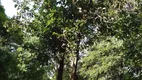 Foto 6 de Fazenda/Sítio com 4 Quartos à venda, 1500m² em Jardim Encantado, São José da Lapa