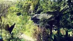 Foto 15 de Fazenda/Sítio com 4 Quartos à venda, 5416m² em Vargem Grande, Florianópolis