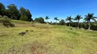 Foto 3 de Lote/Terreno à venda, 1350m² em Esperanca, Londrina