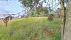 Foto 6 de Lote/Terreno à venda, 1000m² em Condominio Clube de Campo Valinhos, Valinhos