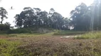 Foto 12 de Fazenda/Sítio à venda, 96800m² em Centro, Tapiraí