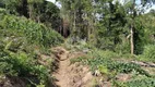 Foto 3 de Fazenda/Sítio com 2 Quartos à venda, 30000m² em Desvio Machado, Carlos Barbosa