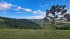 Foto 21 de Fazenda/Sítio com 2 Quartos à venda, 116000m² em Perico, São Joaquim