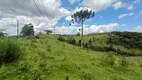 Foto 4 de Fazenda/Sítio à venda, 140000m² em Centro, Alfredo Wagner