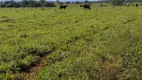 Foto 13 de Fazenda/Sítio à venda em Centro, Ribeirãozinho