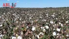 Foto 30 de Fazenda/Sítio à venda, 270000000m² em Centro, Nova Mutum