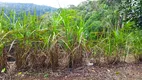 Foto 43 de Fazenda/Sítio com 3 Quartos à venda, 4600m² em Dom Rodrigo, Campo Largo