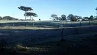 Foto 17 de Fazenda/Sítio com 3 Quartos à venda, 31000m² em Lageado, Campo Alegre