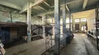 Foto 9 de Sala Comercial para alugar, 183m² em Navegantes, Porto Alegre