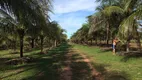 Foto 11 de Fazenda/Sítio com 3 Quartos à venda, 30000m² em Poção, Cuiabá