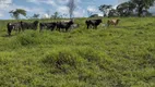 Foto 6 de Fazenda/Sítio à venda em Zona Rural, Água Fria de Goiás