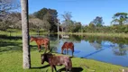 Foto 16 de Lote/Terreno à venda, 1300m² em Martinica, Viamão