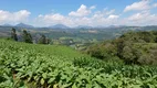 Foto 26 de Fazenda/Sítio com 2 Quartos à venda, 62000m² em Centro, Alfredo Wagner