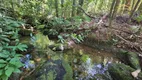 Foto 11 de Fazenda/Sítio com 5 Quartos à venda, 310m² em América de Cima, Morretes