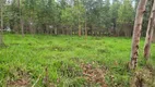 Foto 14 de Lote/Terreno à venda, 180000m² em Zona Rural, Passa Tempo