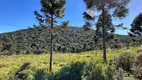 Foto 14 de Lote/Terreno com 1 Quarto à venda, 20000m² em , Urubici