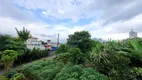 Foto 31 de Casa com 4 Quartos à venda, 236m² em Rio Grande, Palhoça